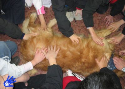 Il cane sociale a scuola