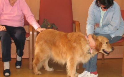 Pet therapy in una casa di riposo